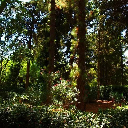 Masseria Dei Paternostro, Corleone, Pa * Corleone